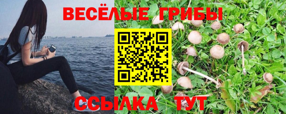 Приморско-Ахтарск  Гашиш  COCAIN  Вход с VPN  Конопля  Меф кристаллы 