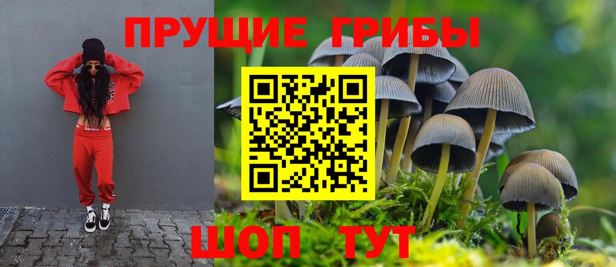 Псилоцибиновые грибы Magic Shrooms  Вход с VPN  Приморско-Ахтарск 